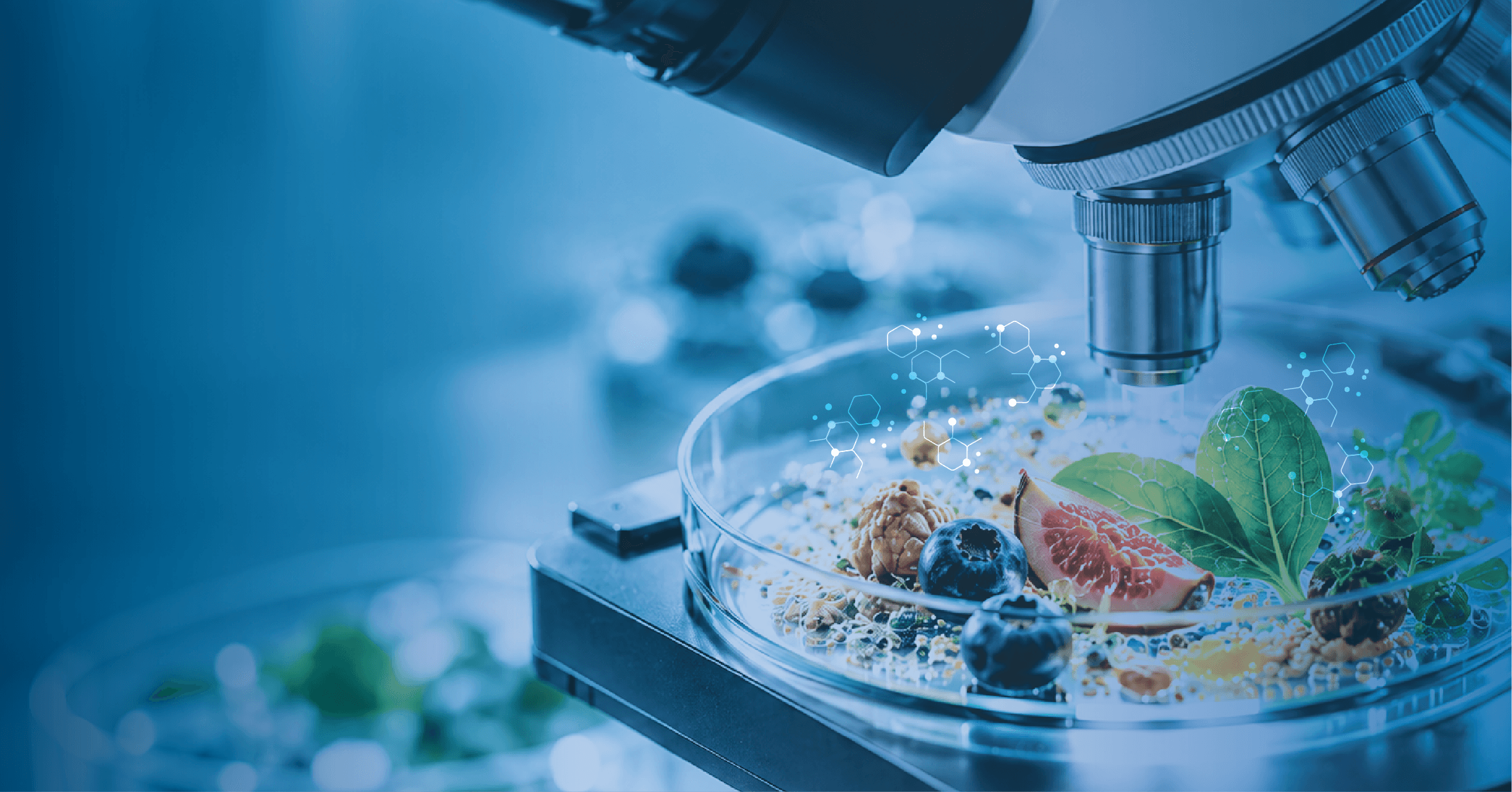 Future Food & Nutrition Summit 2027